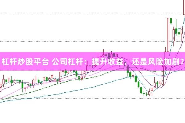 杠杆炒股平台 公司杠杆：提升收益，还是风险加剧？