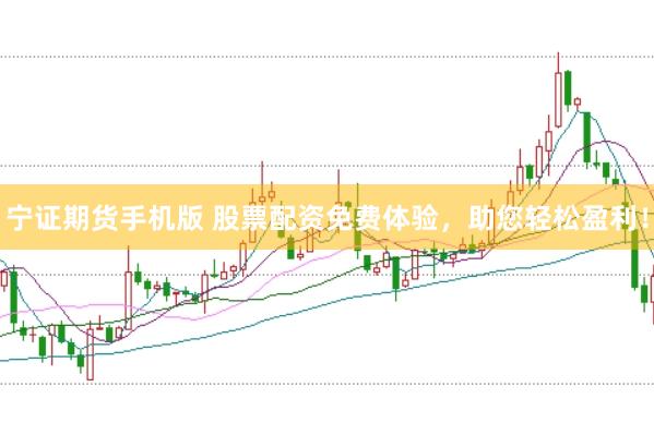 宁证期货手机版 股票配资免费体验，助您轻松盈利！