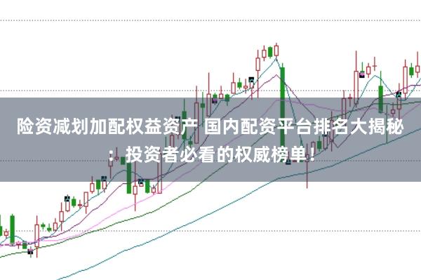 险资减划加配权益资产 国内配资平台排名大揭秘：投资者必看的权威榜单！
