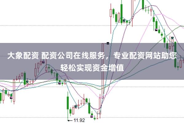 大象配资 配资公司在线服务，专业配资网站助您轻松实现资金增值