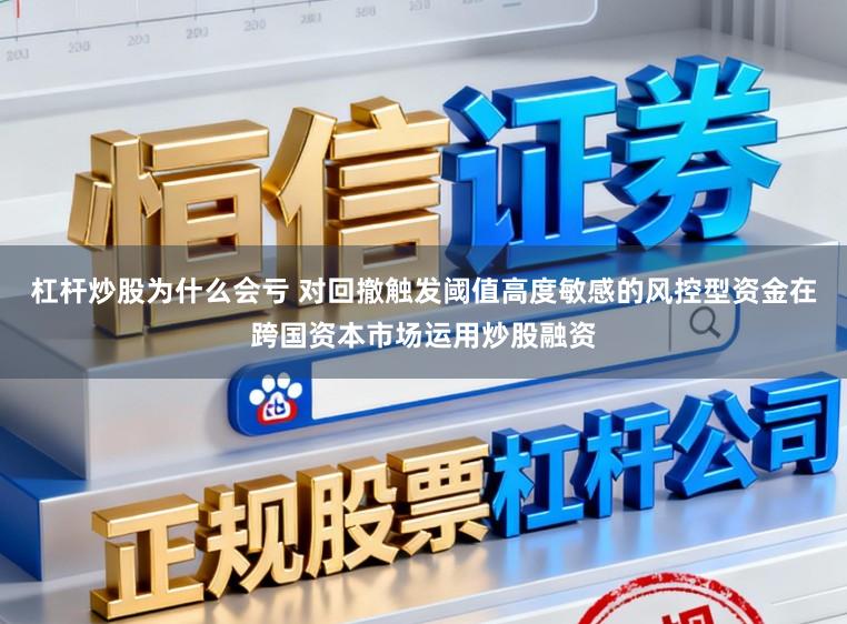 杠杆炒股为什么会亏 对回撤触发阈值高度敏感的风控型资金在跨国资本市场运用炒股融资