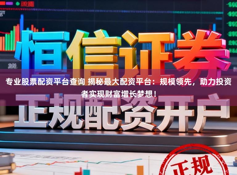 专业股票配资平台查询 揭秘最大配资平台：规模领先，助力投资者实现财富增长梦想！