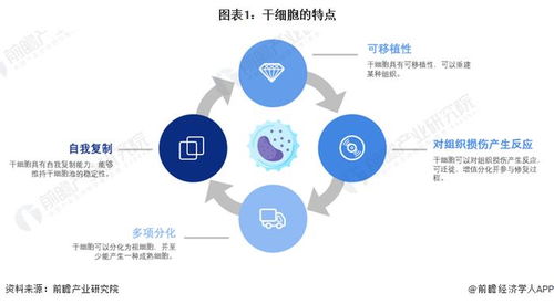 新质生产力系列赛道 干细胞产业技术趋势报告2024版发布